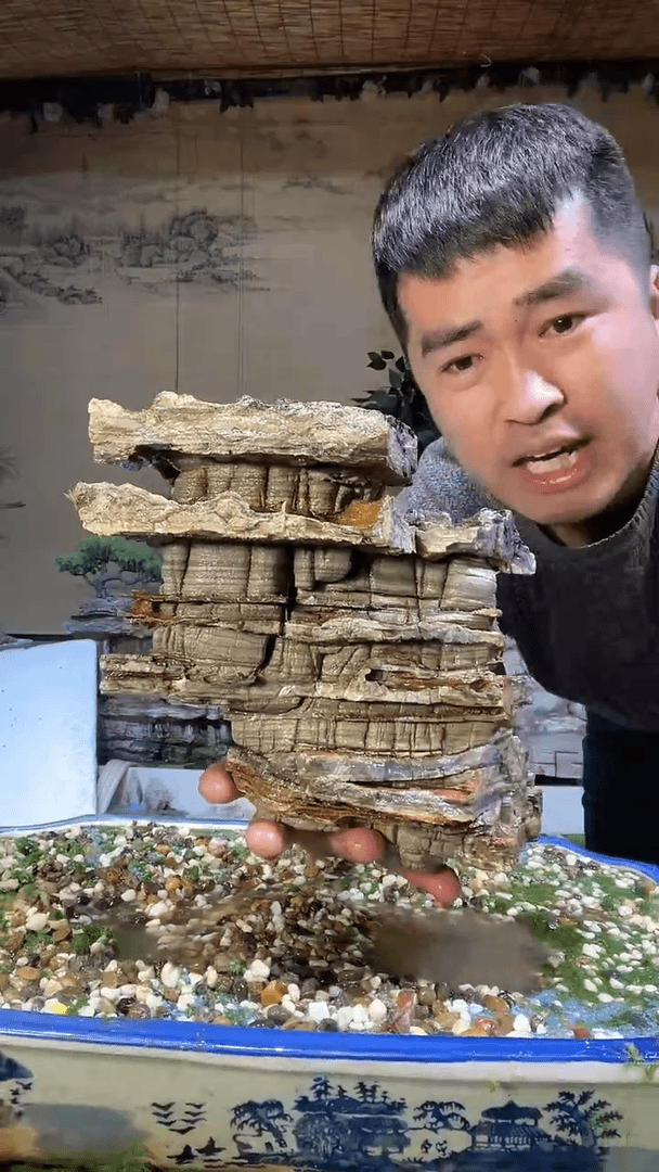 【闪购商品】微景观天然奇石