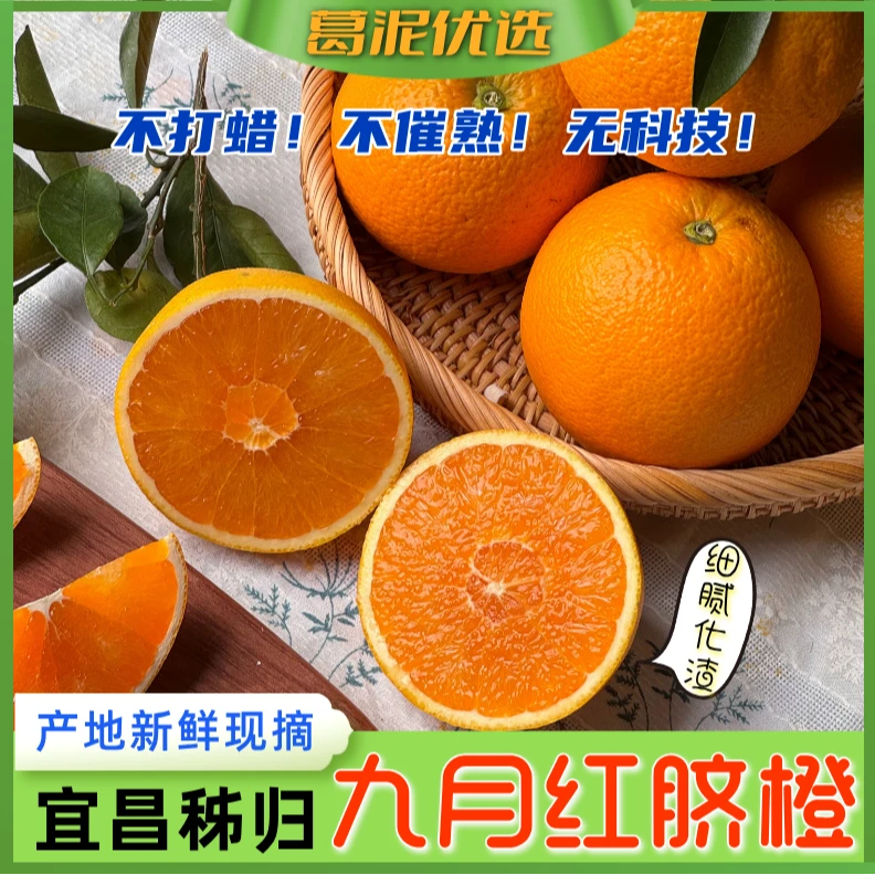 新鲜秭归九月红脐橙果冻橙化渣多汁现摘现发应季水果彩箱5斤10斤