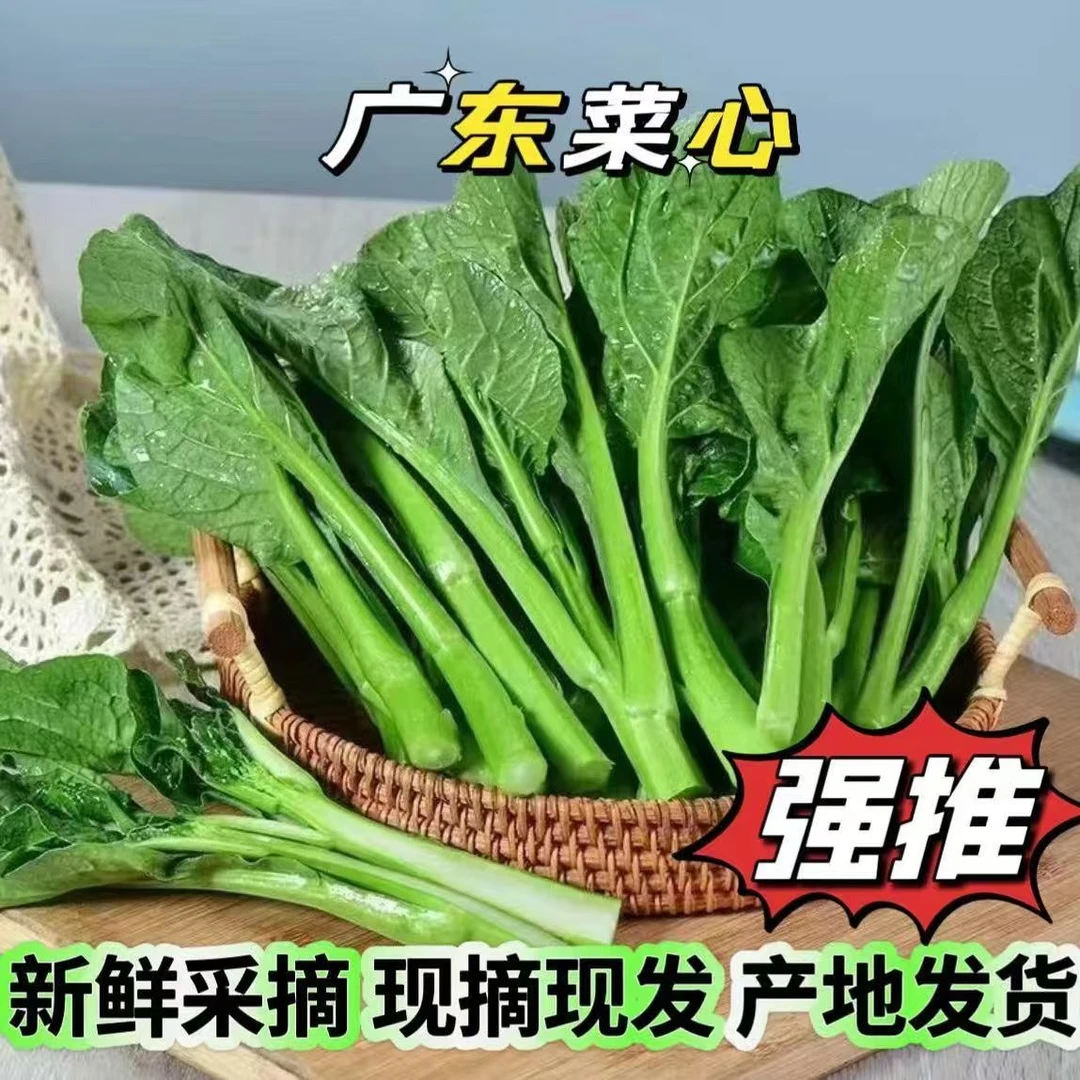 广东菜心新鲜广东菜花油菜心鲜嫩清甜新鲜蔬菜甜菜心菜苔绿叶4斤