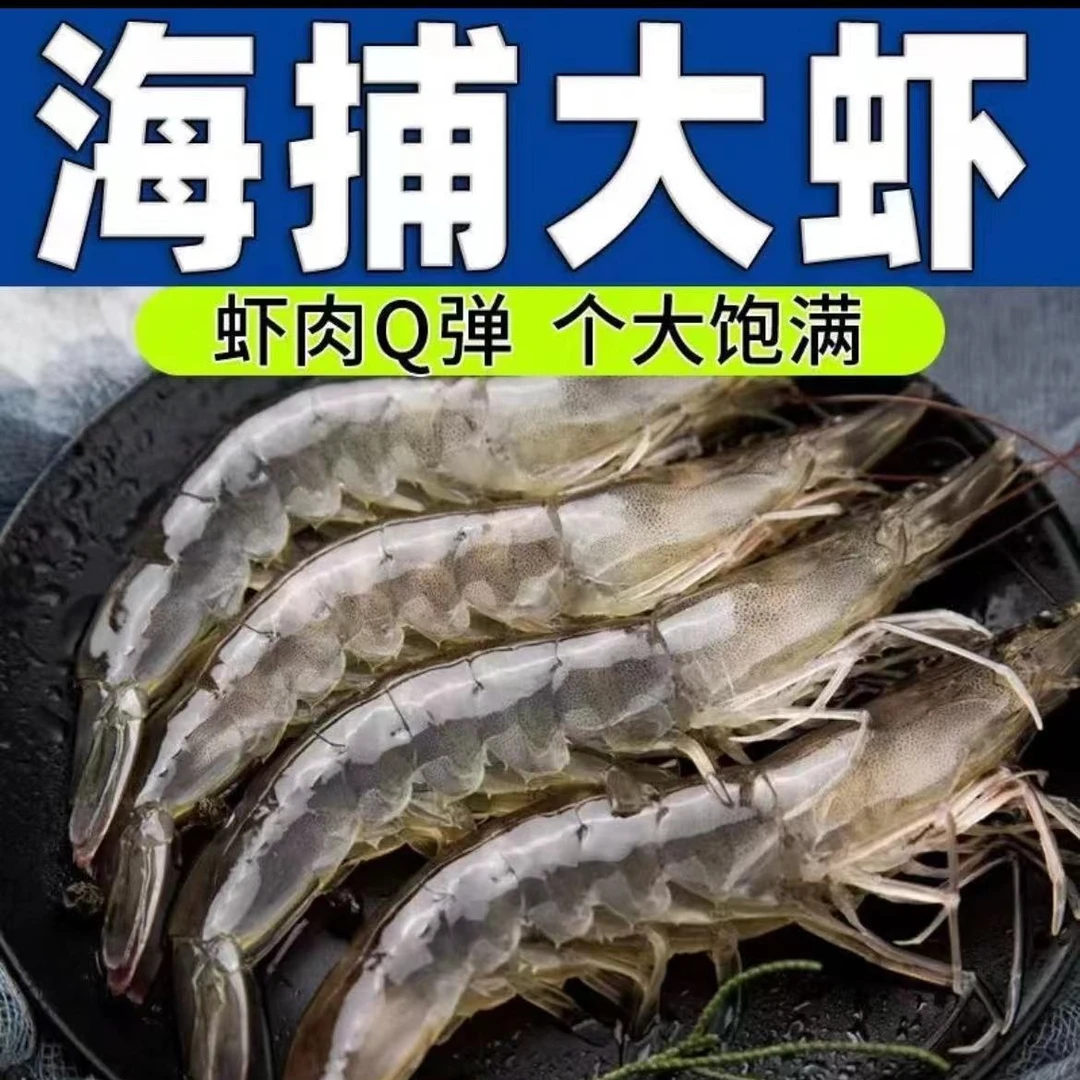 【青岛大海虾】新鲜14-16厘米大虾青岛海洋海捕码头直发 顺丰冷链