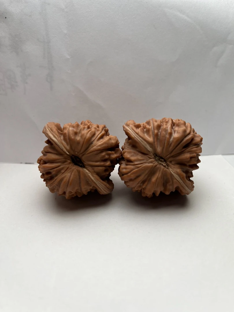 全品无修文玩核桃_四座楼（直播专用)文玩好物老树狮子头手把件