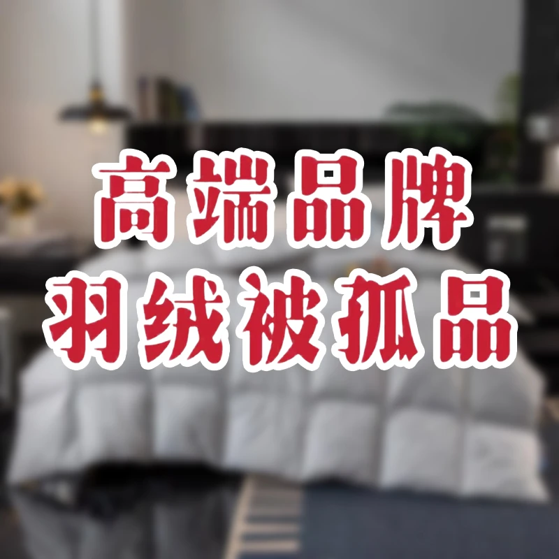 【晴晴专属 】微瑕鹅绒被 孤品成品被 反季被子