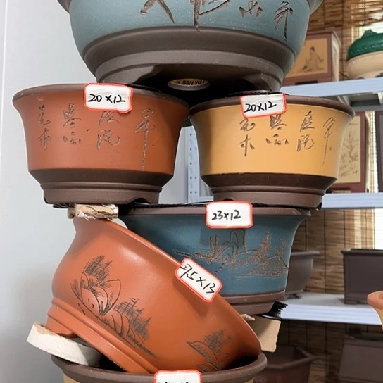 紫砂20CM以下100-6