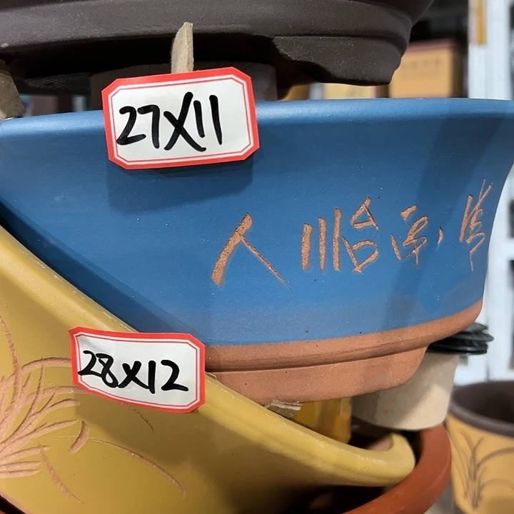 紫砂20CM以下黄色蓝色100-5