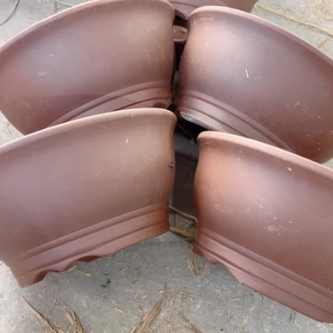 紫砂20CM以下100-5