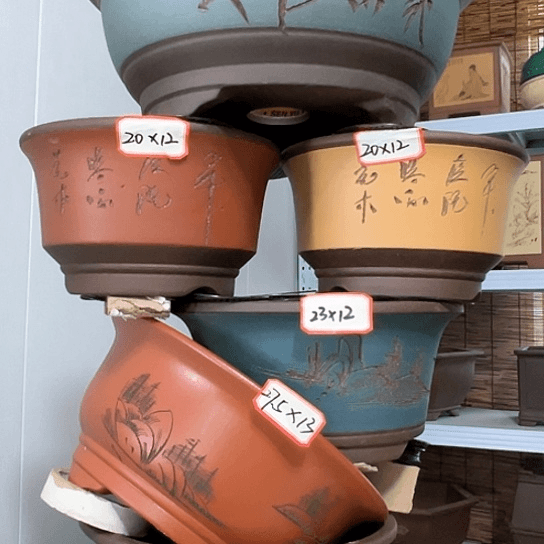 紫砂20CM以下100-6