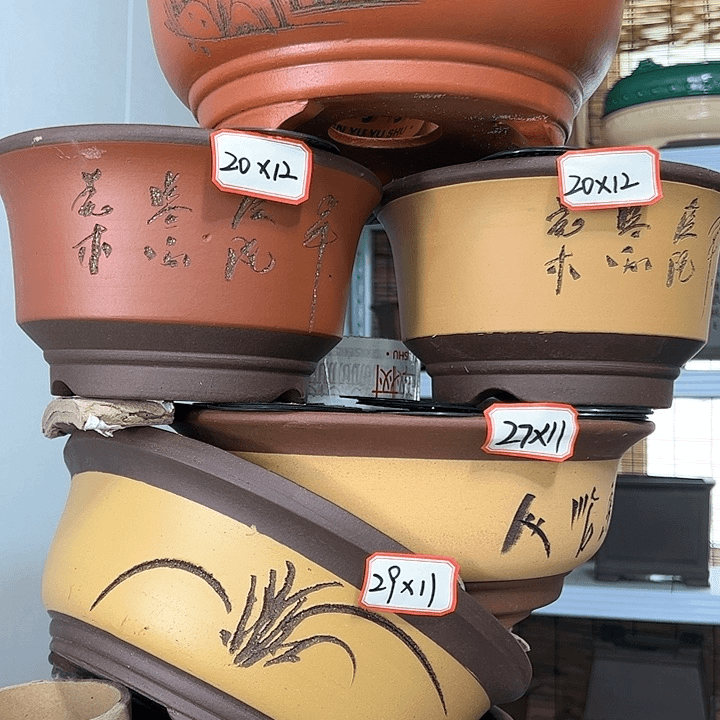 紫砂20CM以下100-6