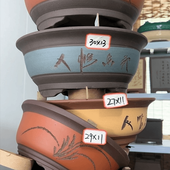 紫砂20CM以下100-5
