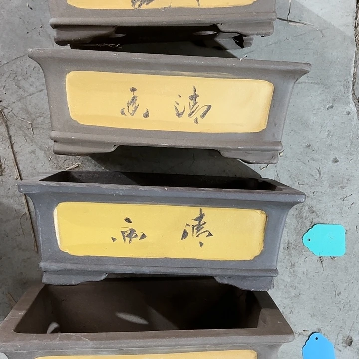 紫砂20CM以下100-4