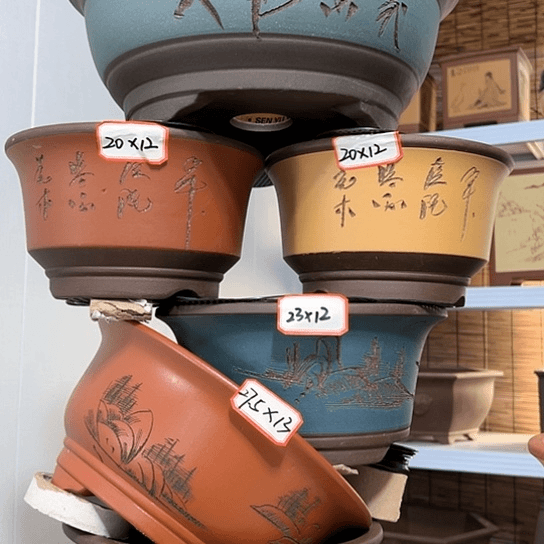 紫砂20CM以下100-6