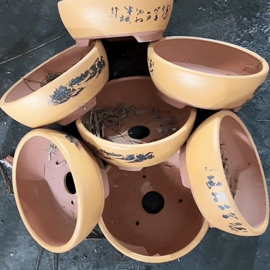 紫砂20CM以下         100-7