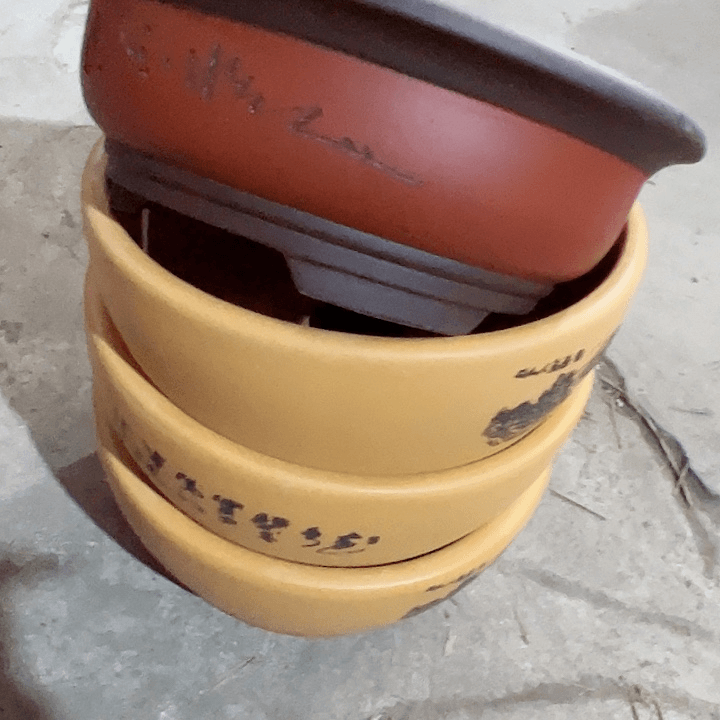 紫砂20CM以下100-6