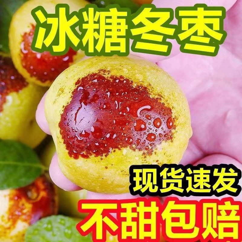 【现摘现发】山东沾化冬枣脆甜冬枣新鲜水果现摘现发整箱