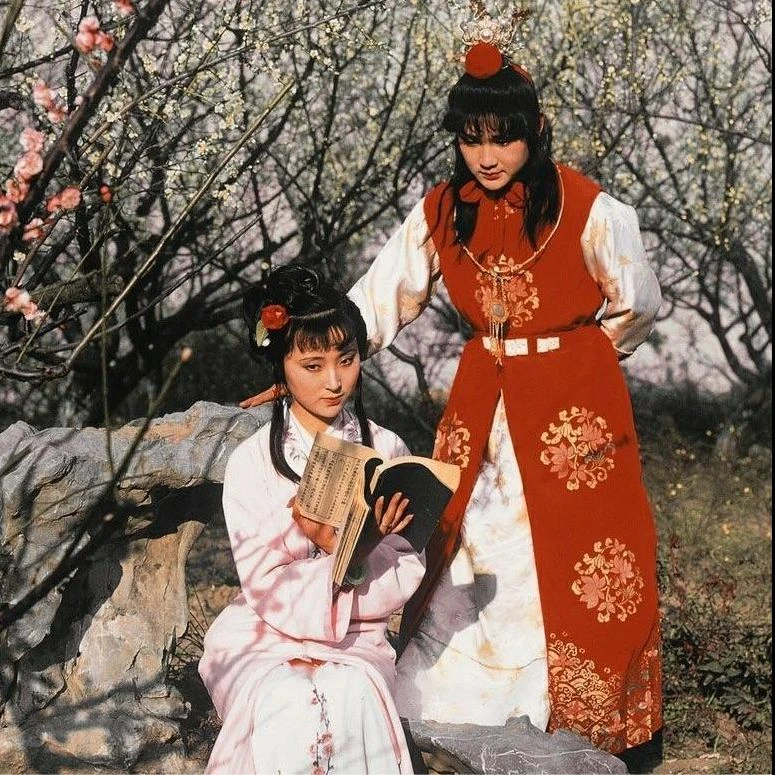 《红楼梦》趣味鉴赏