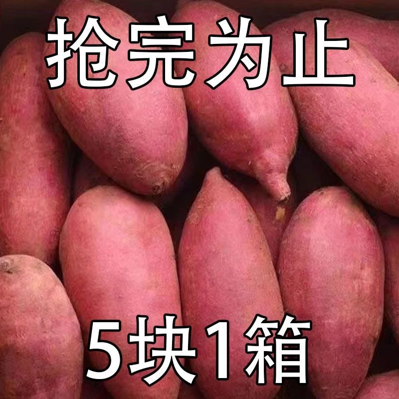 【抢一箱】超甜沙地红薯新鲜红黄心蜜薯地瓜1-9斤番薯蔬菜板栗薯