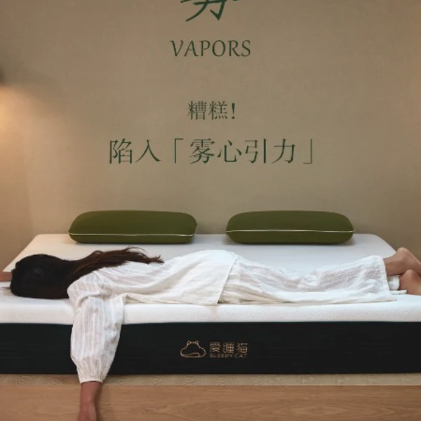 【雾】床垫工厂新品记忆棉双层弹簧家用支撑力沉浸式睡眠舒睡