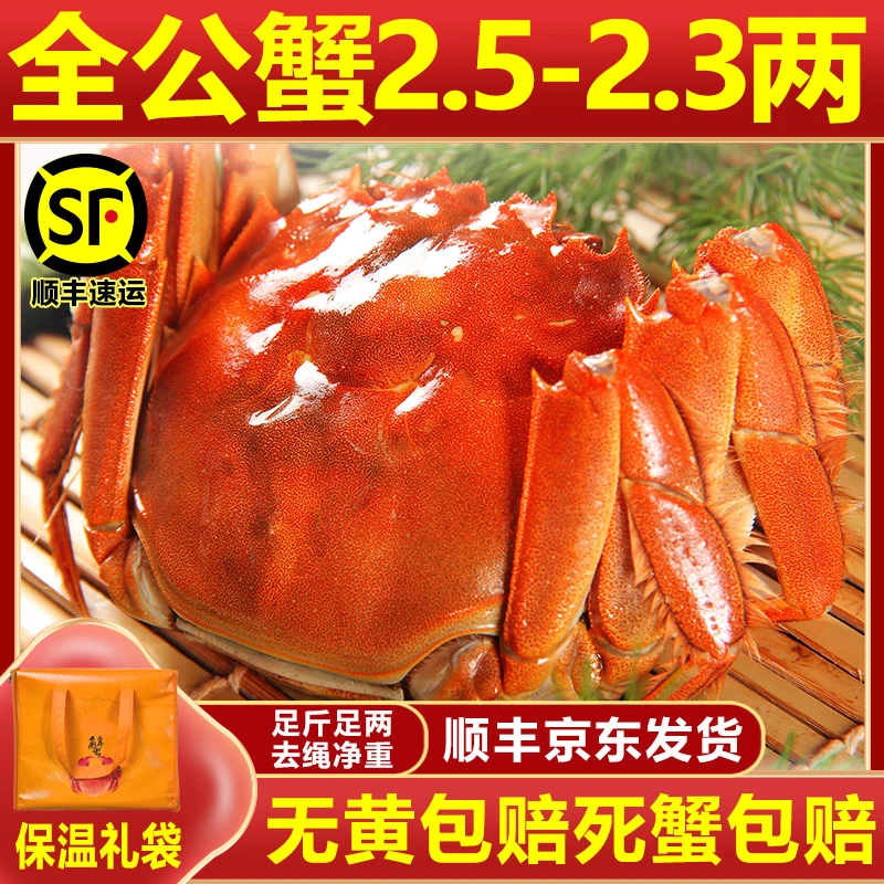 【活蟹】江苏兴化全公蟹2.5-2.3两共10只源头直发 去绳净重