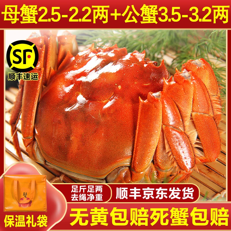 【活蟹】名蟹行母2.5-2.2两4只+公3.5-3.2两4只送2只同规格精挑