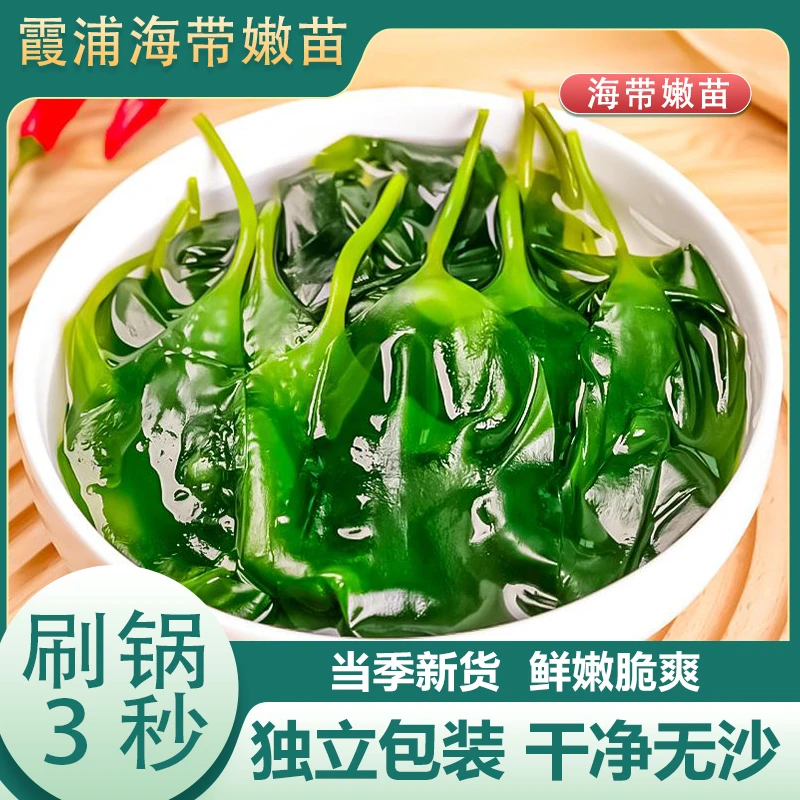 喜粮晨霞浦鲜嫩特级海带嫩苗裙带菜新鲜小海带芽盐渍海带嫩苗258g