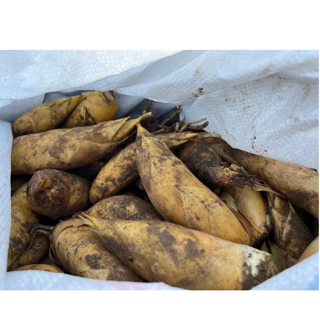 深山沟冬笋(带壳)5斤装