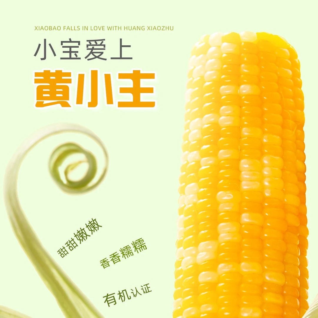 【黄金十亩御园】黄小主玉米东北糯玉米鲜有机玉米孩子主食粗粮礼盒