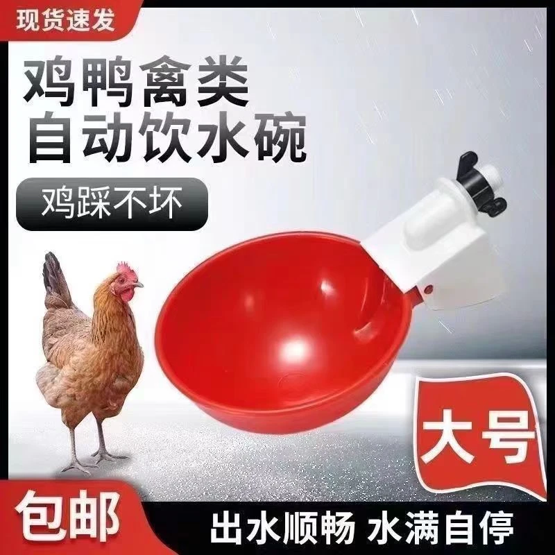 新款特大号鸡鸭鹅自动饮水碗喂水器加大加厚家禽宠物猫狗兔用水碗