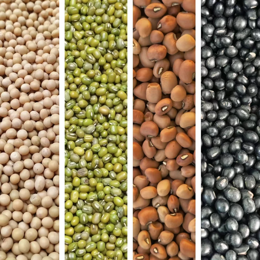 【小孟助农】城口大巴山豆子