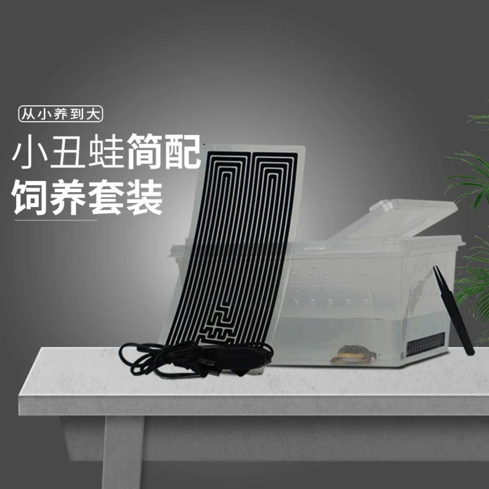 小丑蛙简配饲养套装器材  实用主义使用简单不包含小丑蛙