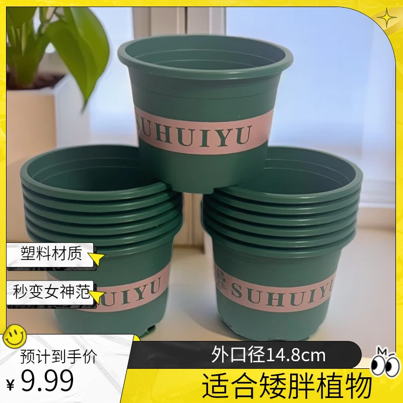 13个矮胖加仑塑料花盆（外口径14.8高11左右大口径）塑料家用花盆
