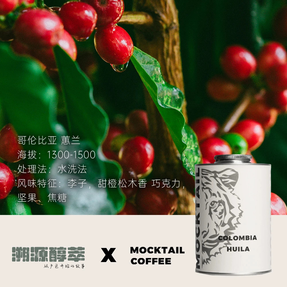 溯源醇萃 X MOCKTAIL精品咖啡豆