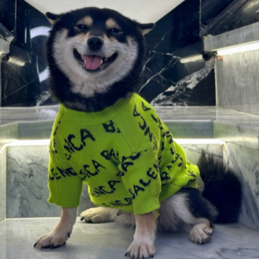 王小强粉丝专享宠物毛衣柴犬西施比熊泰迪雪纳瑞柯基柴犬衣服秋冬