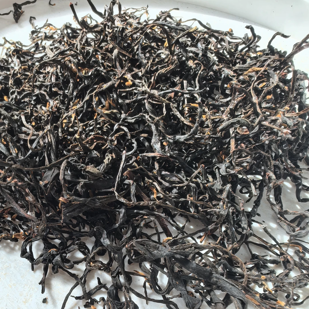 梅占—2024 年头春 滇红