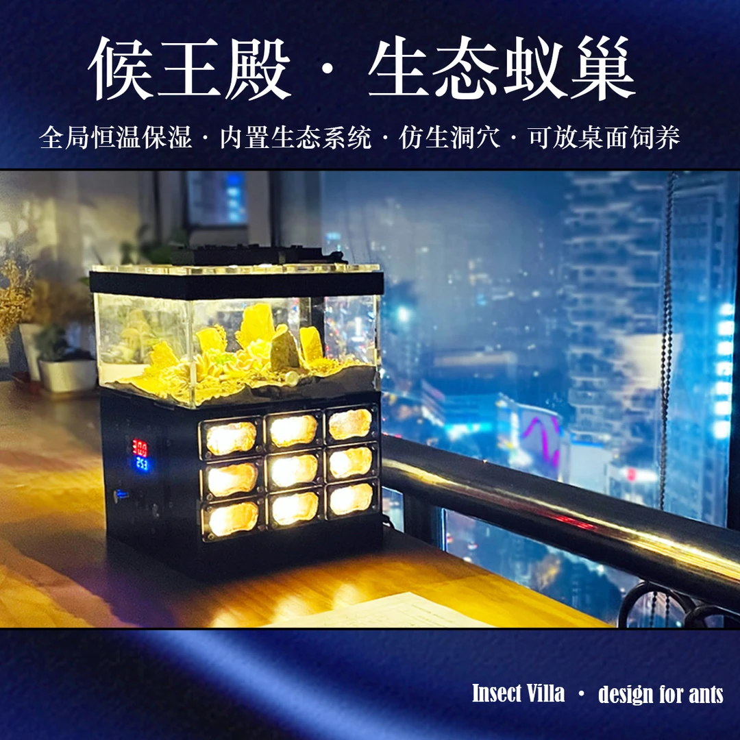 侯王殿智能生态蚁巢 自动恒温蚁巢 亚克力混凝土蚁巢 弓背收获蚁