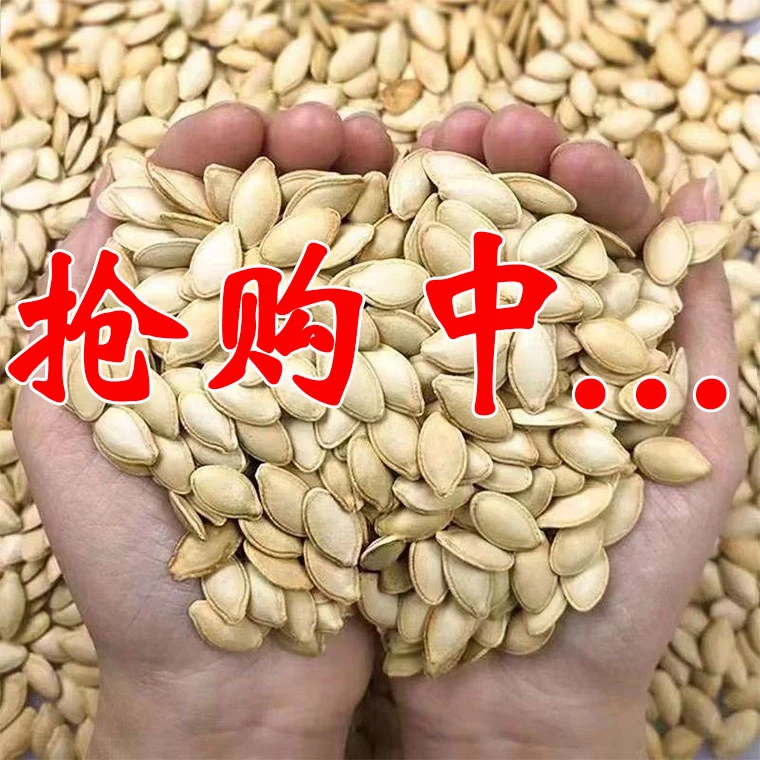 【今日特价】新疆南瓜子原味炒熟中大片五香椒盐南瓜子散装瓜子批发