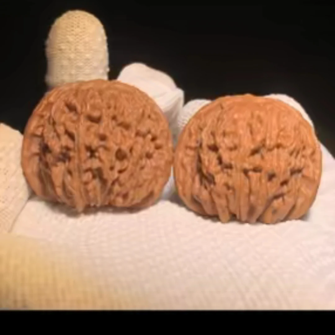 文玩核桃一物一图