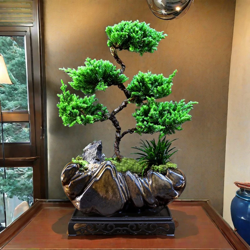 【5层老桩真柏】高档盆景中式禅意家居室内客厅桌面前台好养绿植