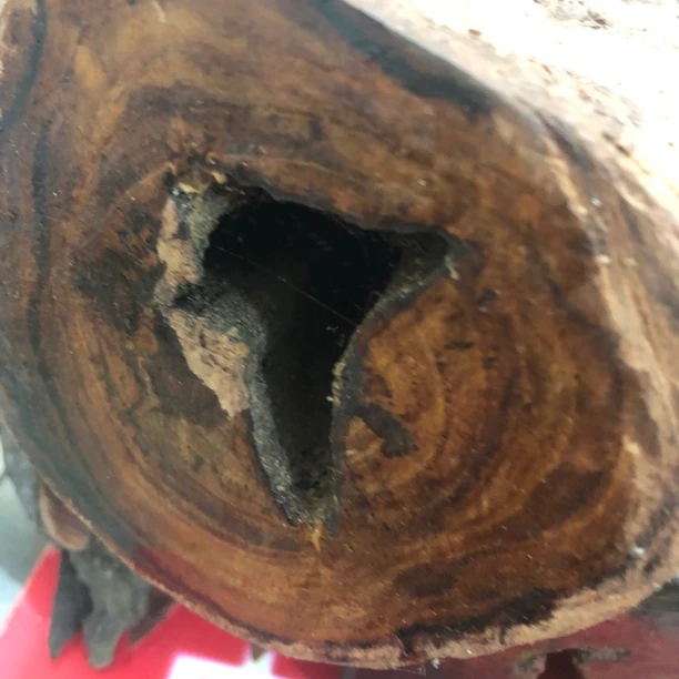 2.0*12颗海南黄花梨定制手串不退换