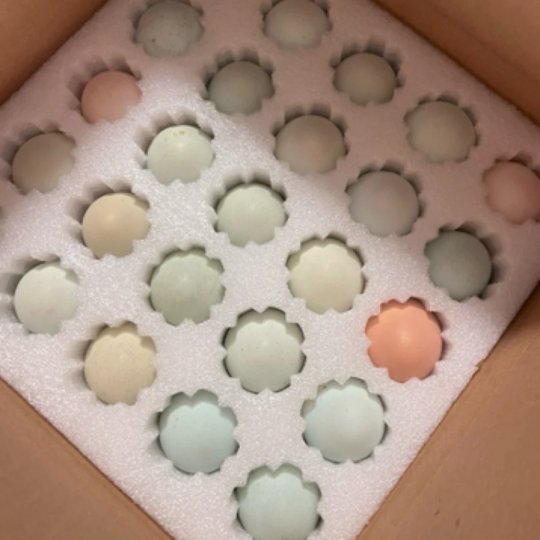 湖北宜昌自家农户包谷散养笨鸡蛋土鸡蛋50枚4.5斤左右包邮到