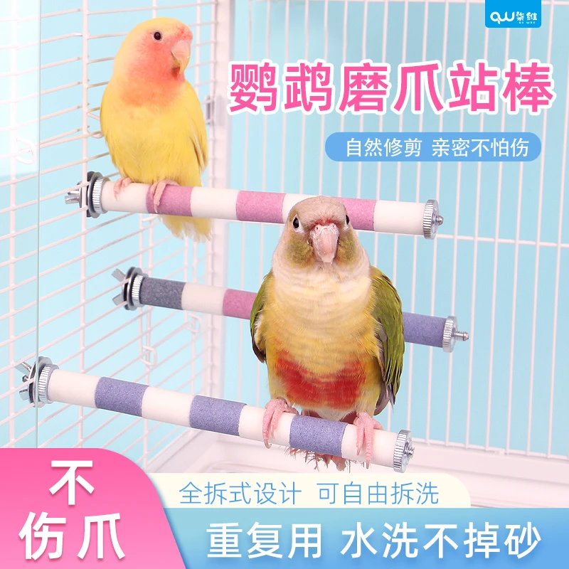 柒维鹦鹉磨爪磨喙站杆玄风牡丹虎皮和尚太阳白玉刚中小型鹦鹉站杆