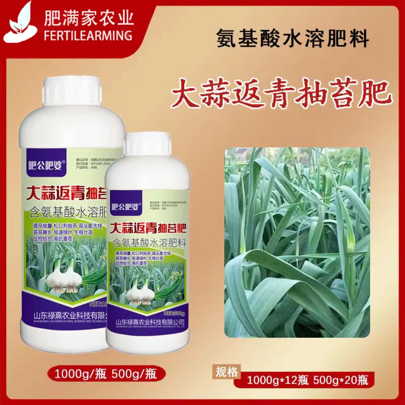 大蒜专用肥大蒜出苔齐蒜苔粗蒜头大易抽苔早抽苔早熟增产叶面肥