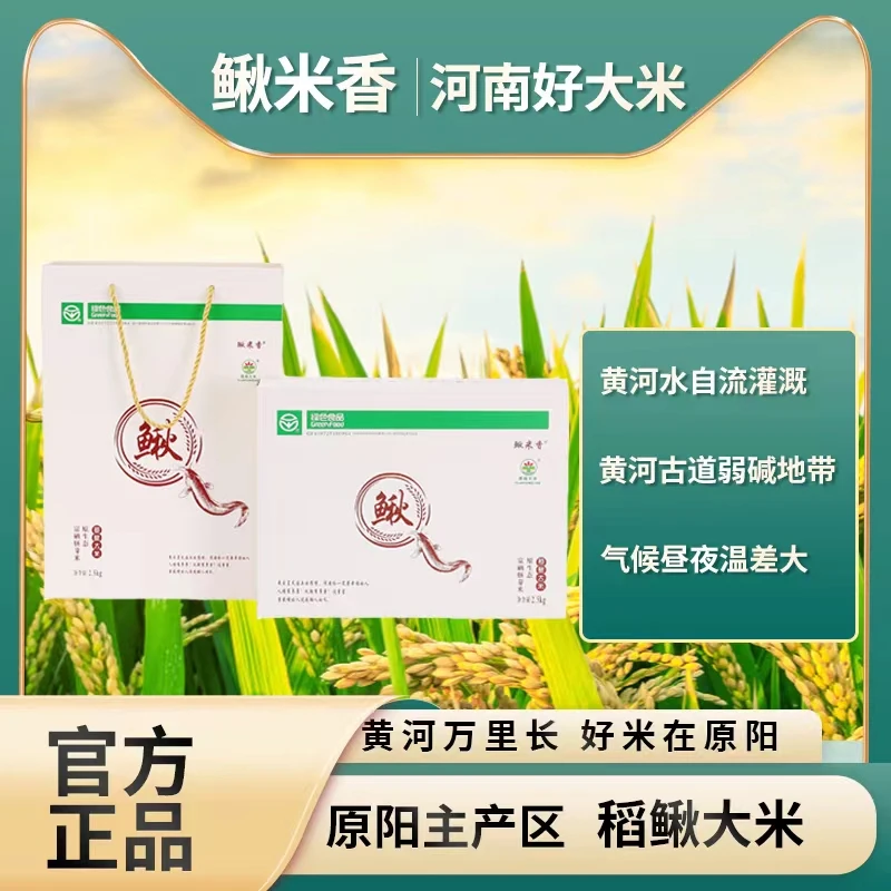 鳅米香应季新米绿色食品原阳大米基地直供礼盒装富硒优选传统煮饭