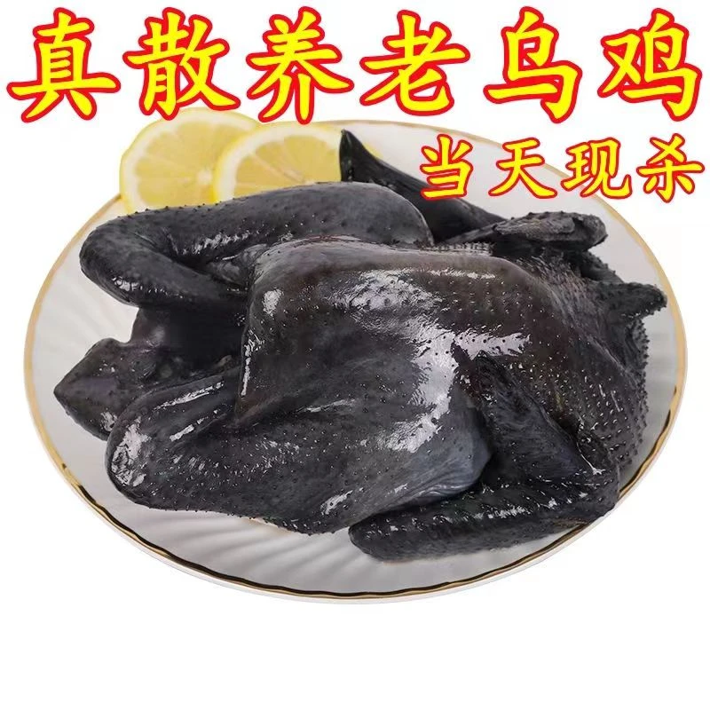 两只乌鸡共3斤】乌鸡  新鲜现宰现杀散养溜达乌鸡  顺丰包邮