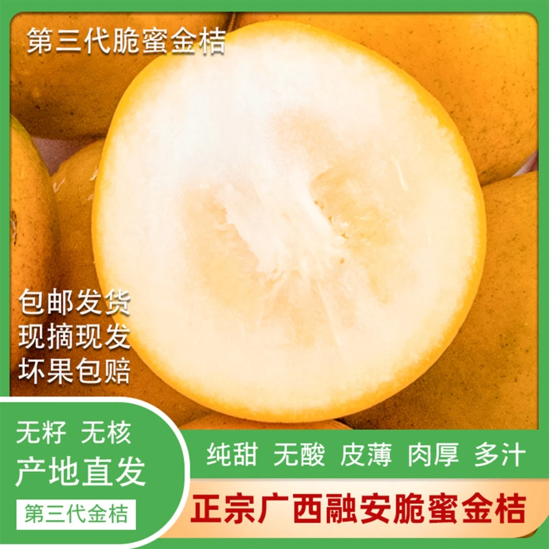 【第三代】广西融安脆蜜金桔/纯甜/无酸/多汁/皮薄/肉厚/产地直发