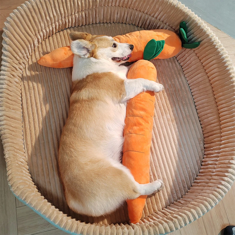 狗狗玩具自嗨解闷神器胡萝卜磨牙耐咬发声金毛柯基宠物狗小狗用品