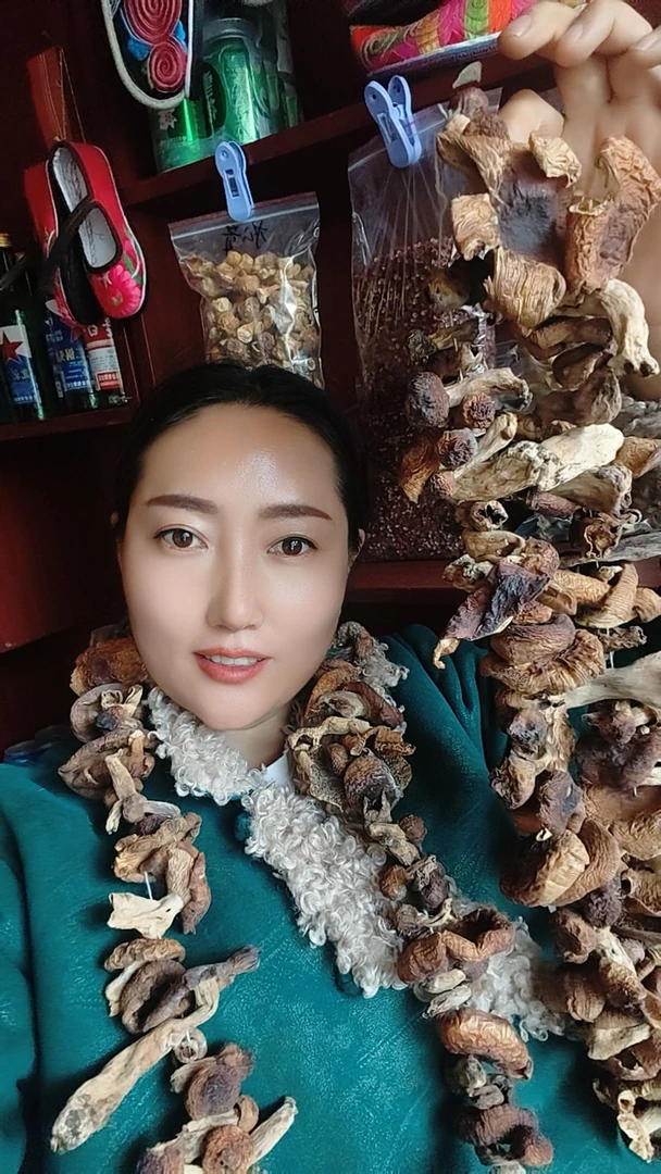 四川阿坝高海拔野生菌，好吃油啦菇，炒肉，素炒