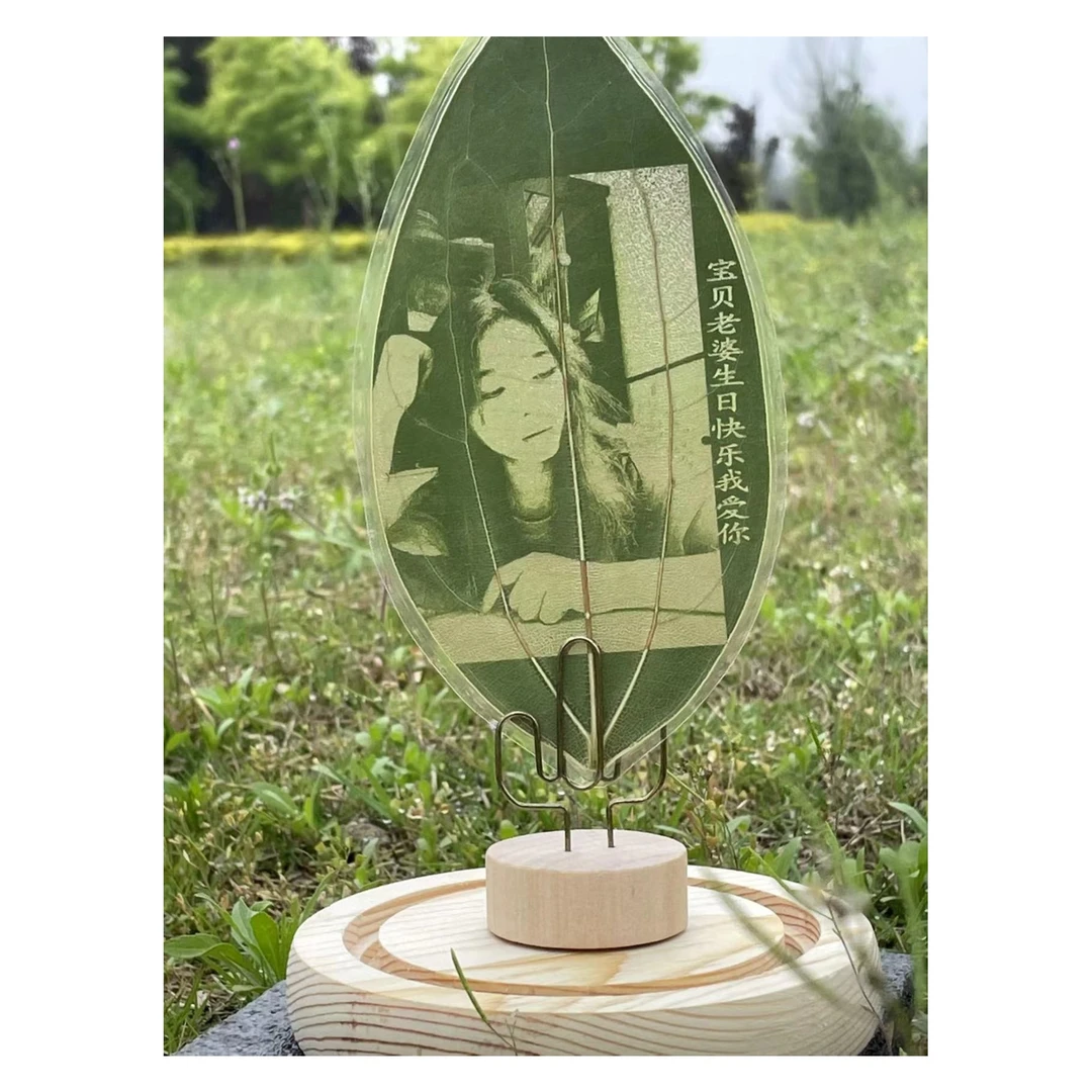 情人节专属纪念礼物叶雕定制DIY玻璃罩送给女朋友礼品包装盒