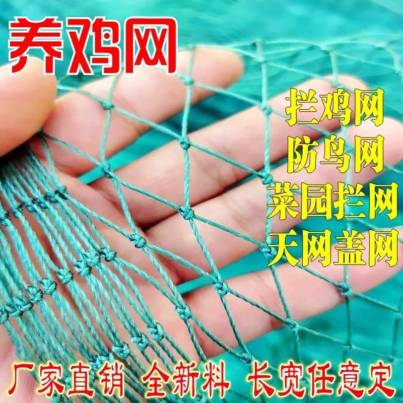 菜园围网 菜地围栏网 菜园子围栏网围菜园网的菜园子网种菜防护网