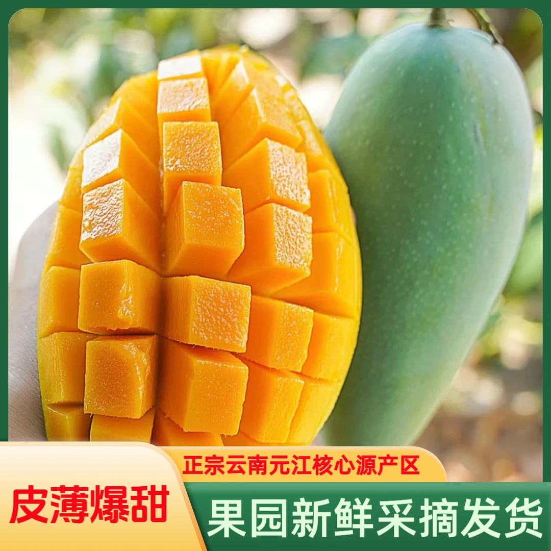 云南小台芒热带水果食用香甜可口多汁芒果香浓中果大果大小包邮
