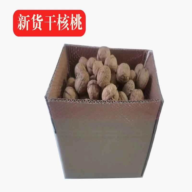 甘肃庆阳特产老树核桃干核桃2025年新核桃5斤包邮