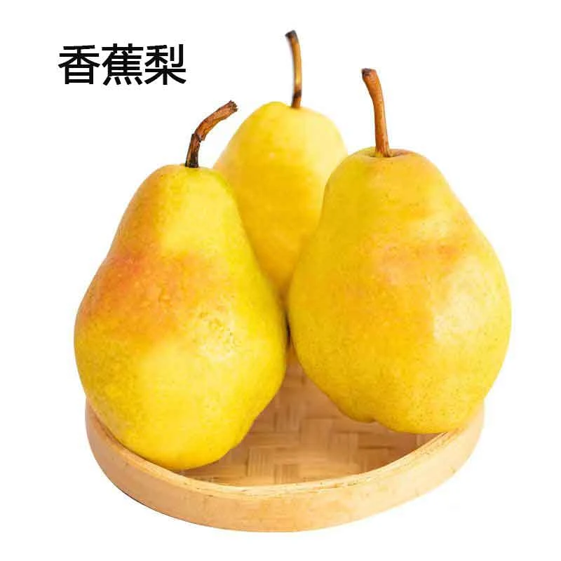宁县特产香蕉梨现摘现发5斤装包邮